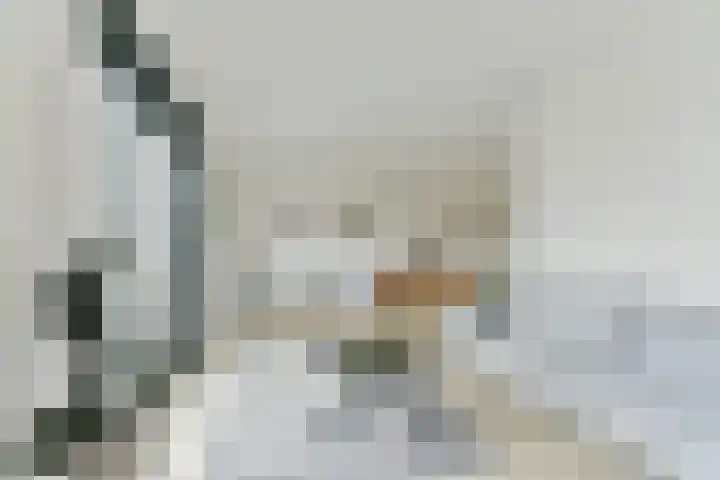 Roodborsthaag 10 Houten thumbnail 10