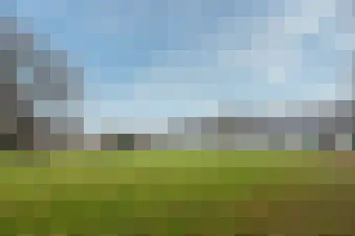 Roodborsthaag 10 Houten thumbnail 40