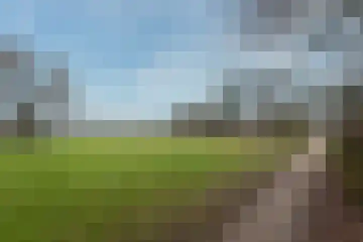 Roodborsthaag 10 Houten thumbnail 41