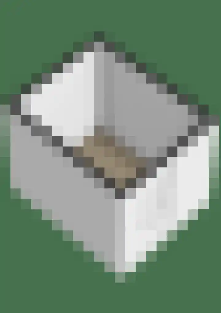 Roodborsthaag 10 Houten thumbnail 47