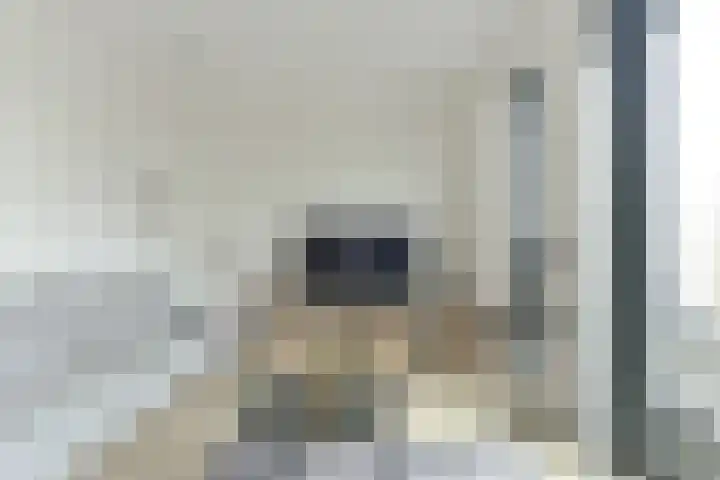 Roodborsthaag 10 Houten thumbnail 7