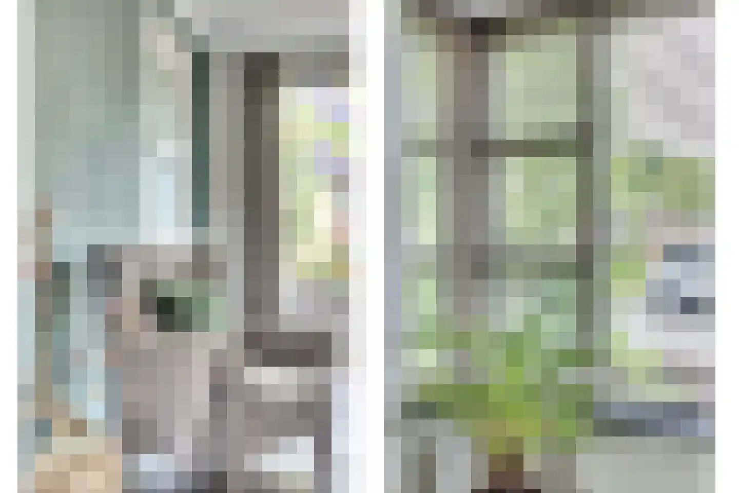 Roodborstje 1 Bladel thumbnail 11