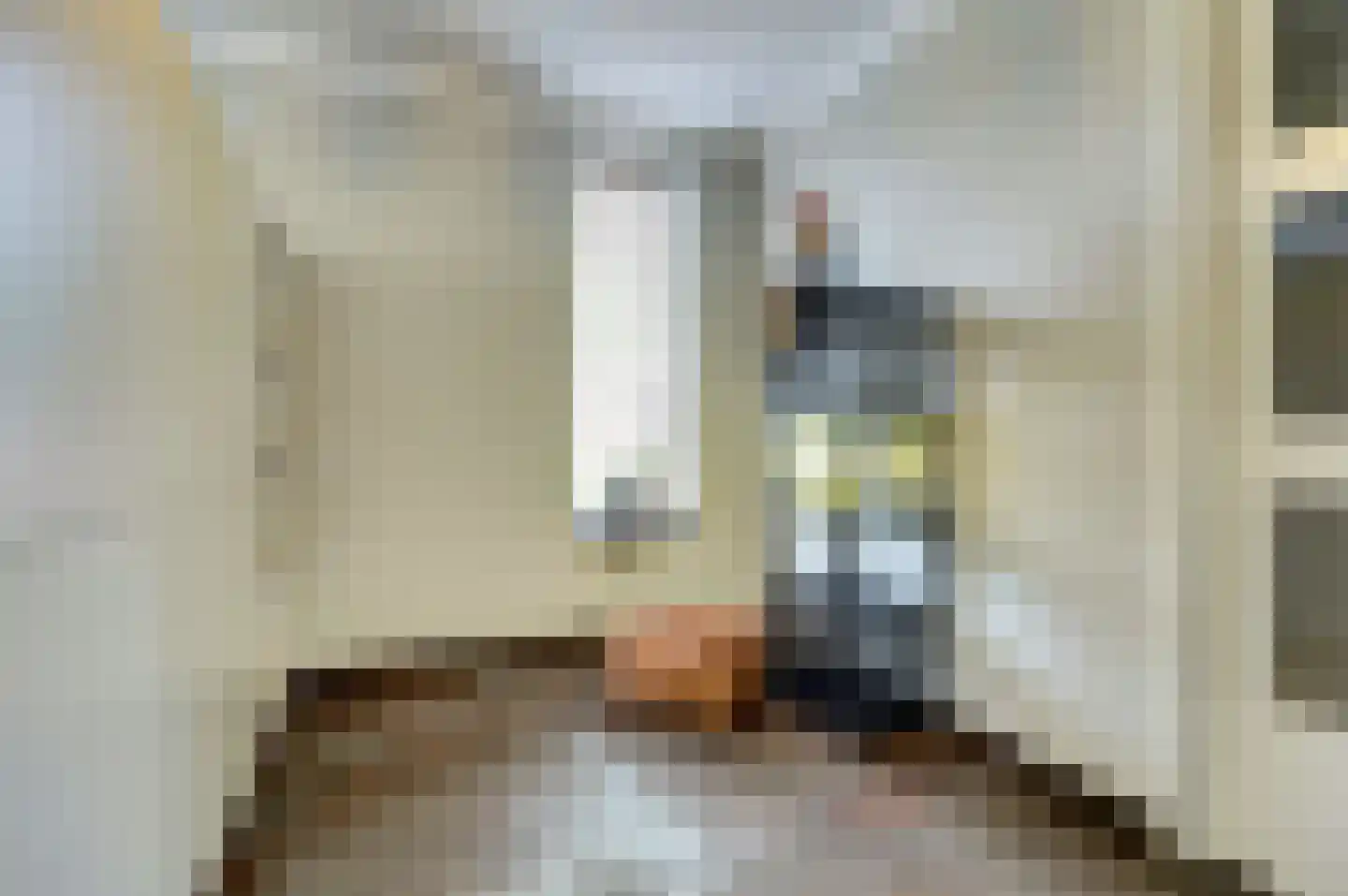 Roodborstje 1 Bladel thumbnail 12