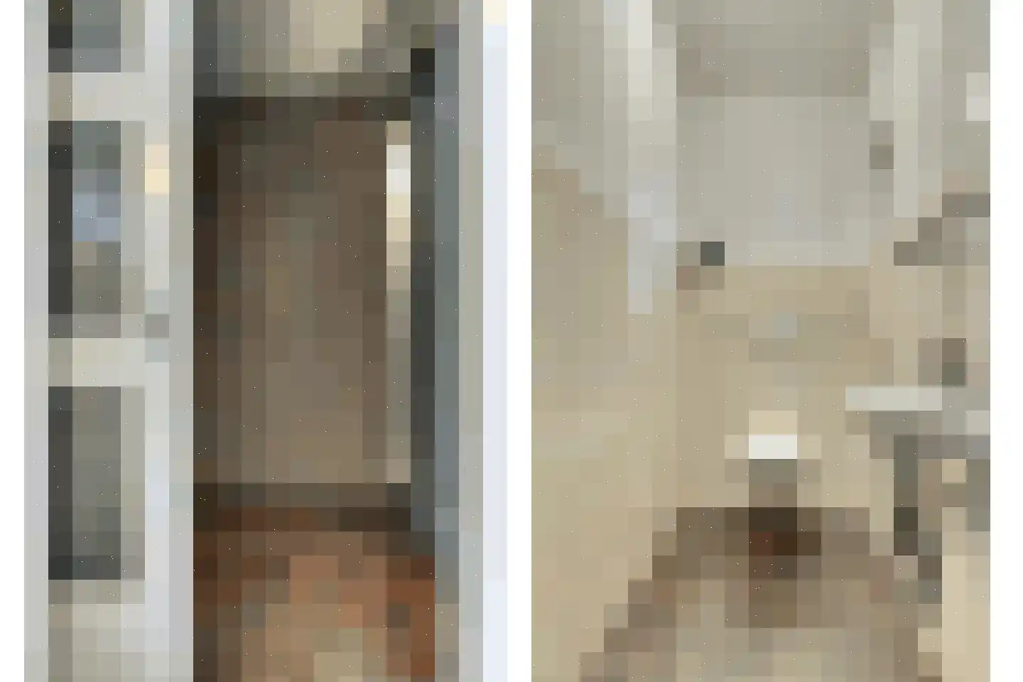 Roodborstje 1 Bladel thumbnail 13