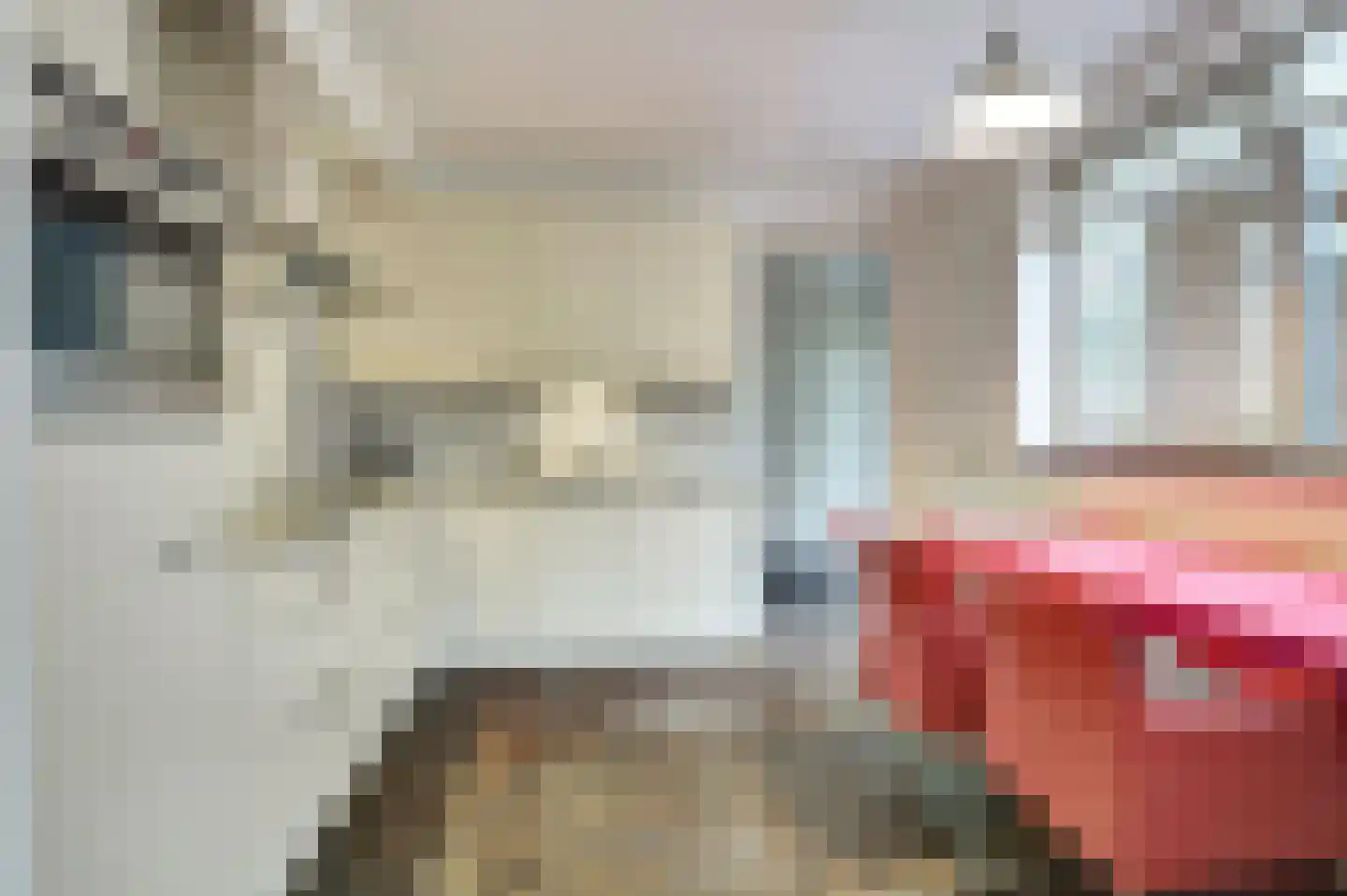 Roodborstje 1 Bladel thumbnail 14