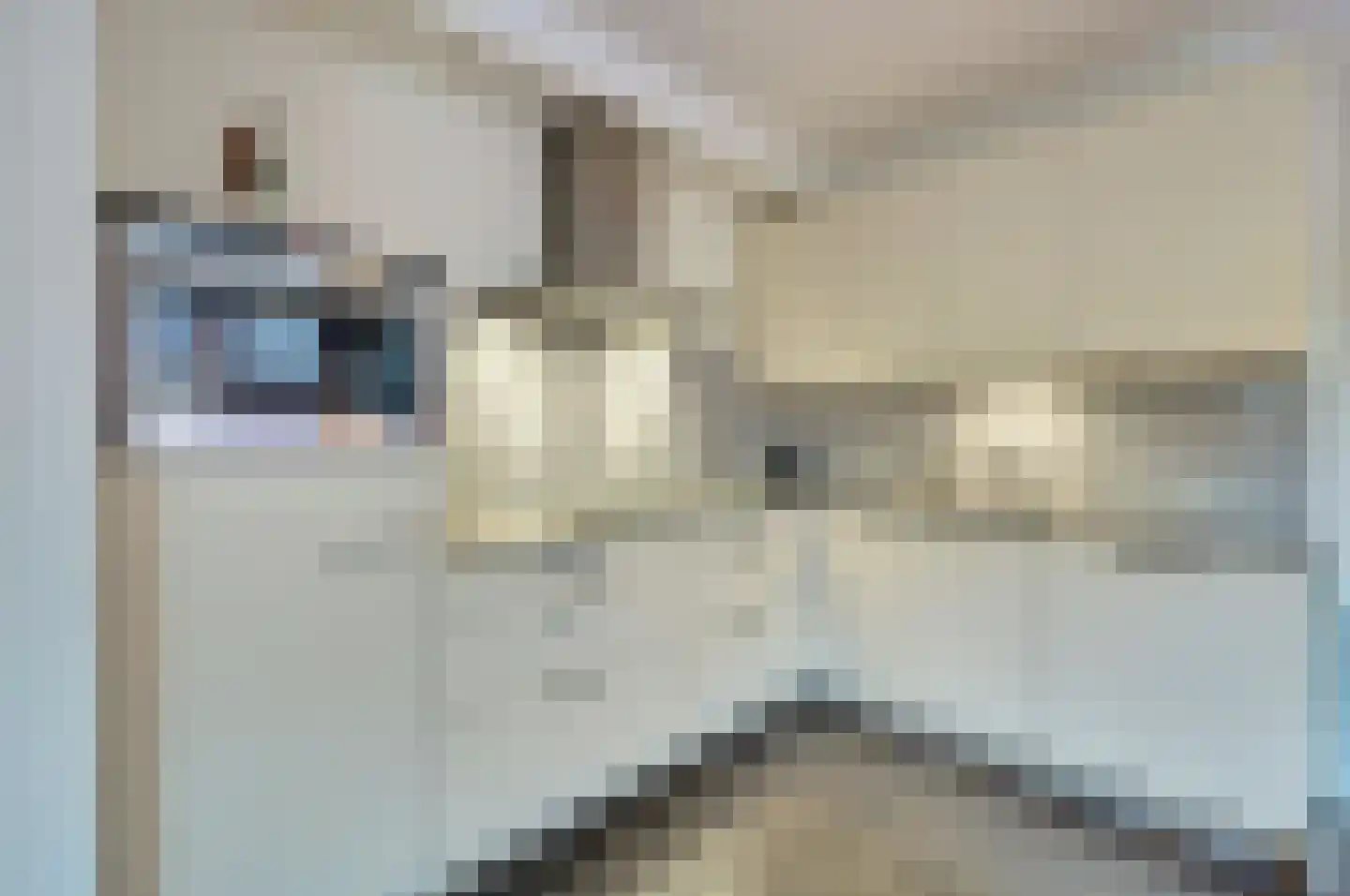Roodborstje 1 Bladel thumbnail 15