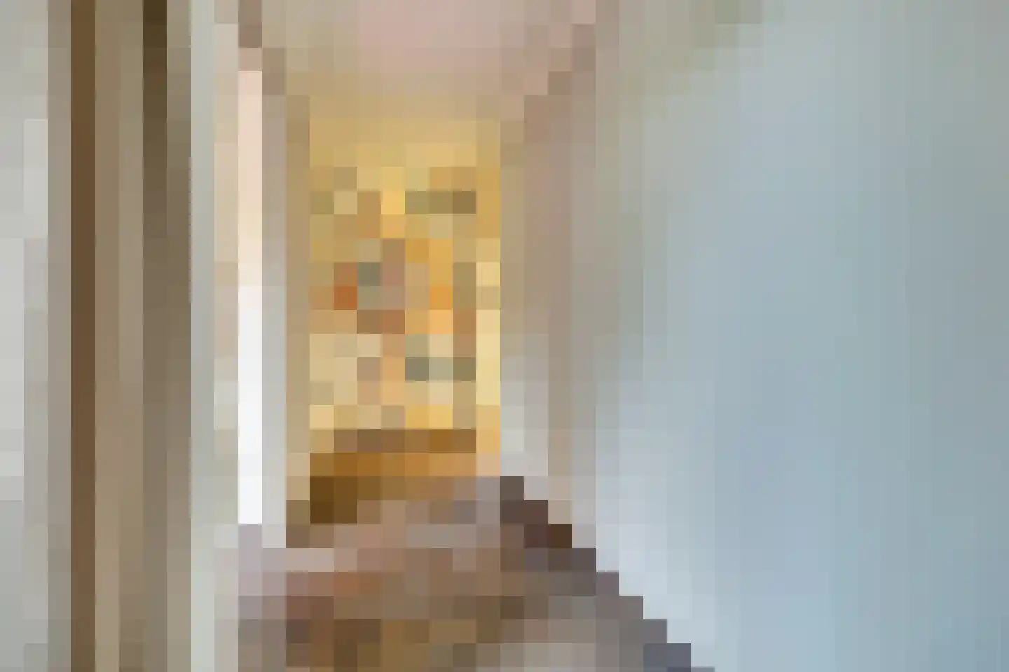 Roodborstje 1 Bladel thumbnail 17