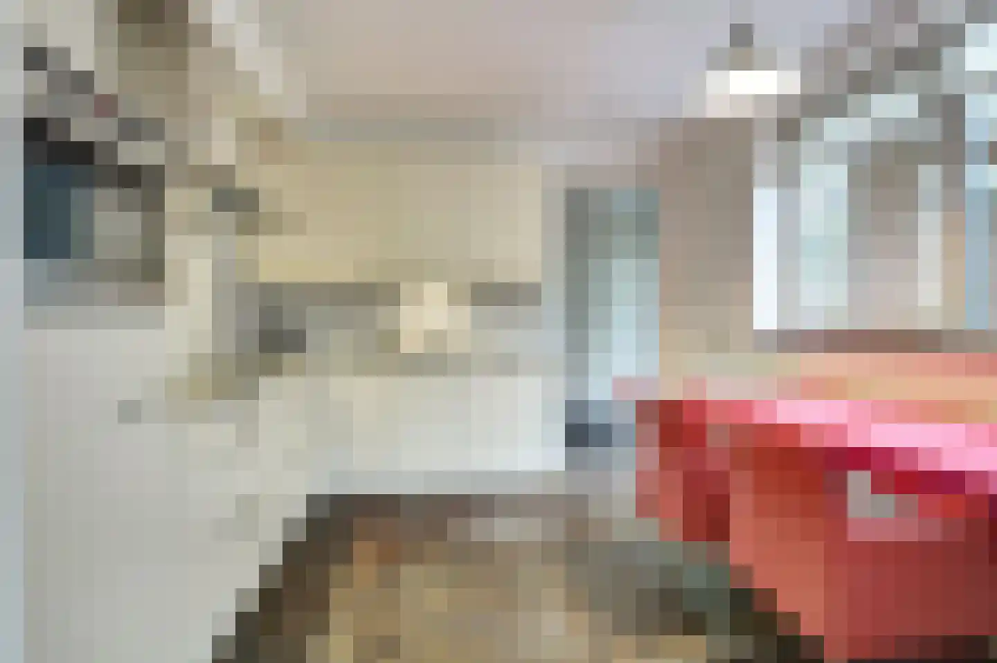 Roodborstje 1 Bladel thumbnail 19