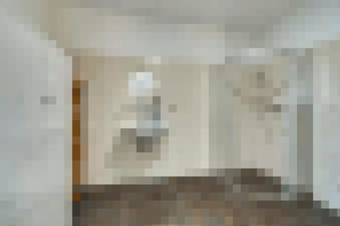 Roodborstje 1 Bladel thumbnail 21