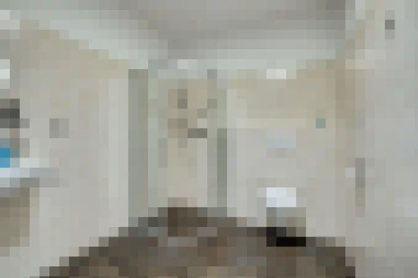 Roodborstje 1 Bladel thumbnail 22