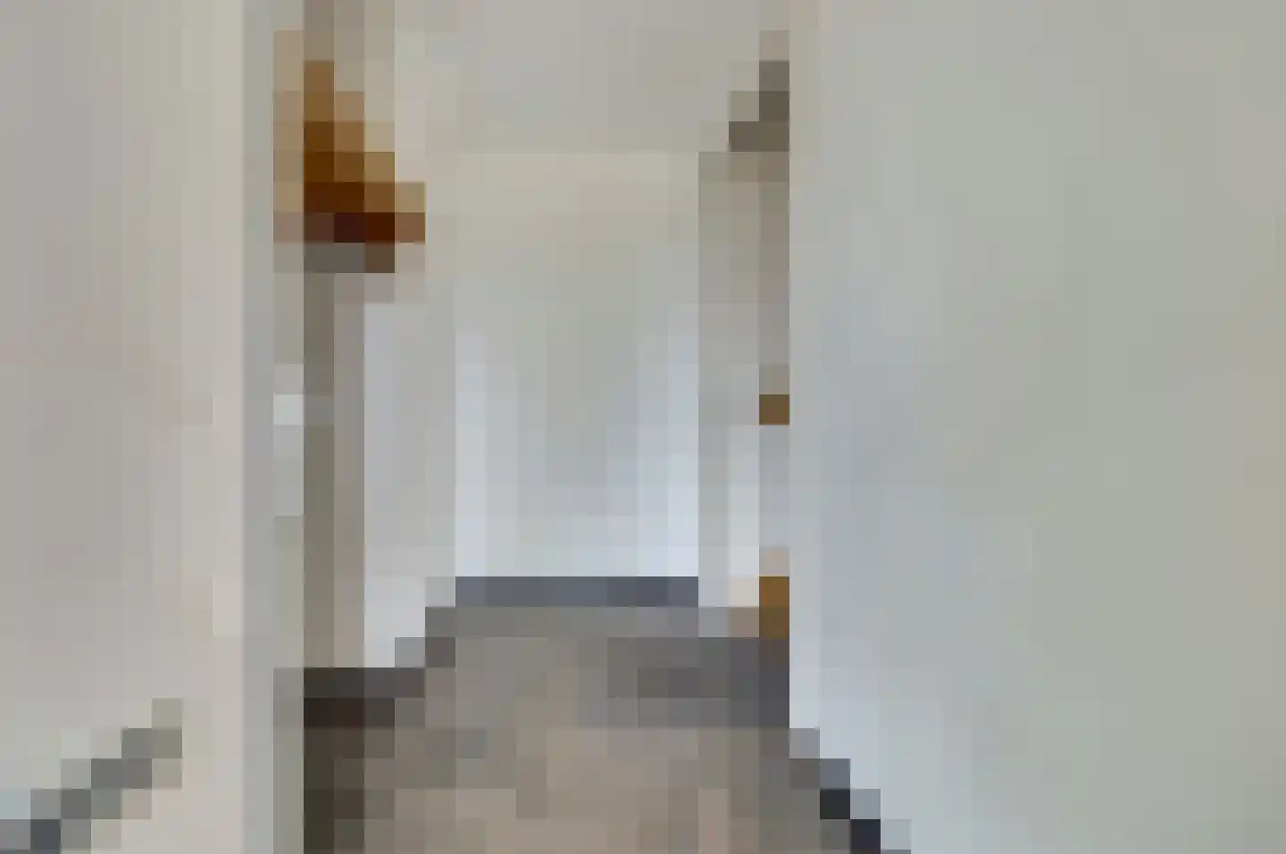 Roodborstje 1 Bladel thumbnail 23
