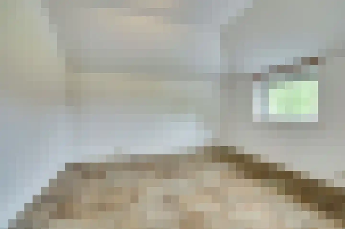 Roodborstje 1 Bladel thumbnail 25