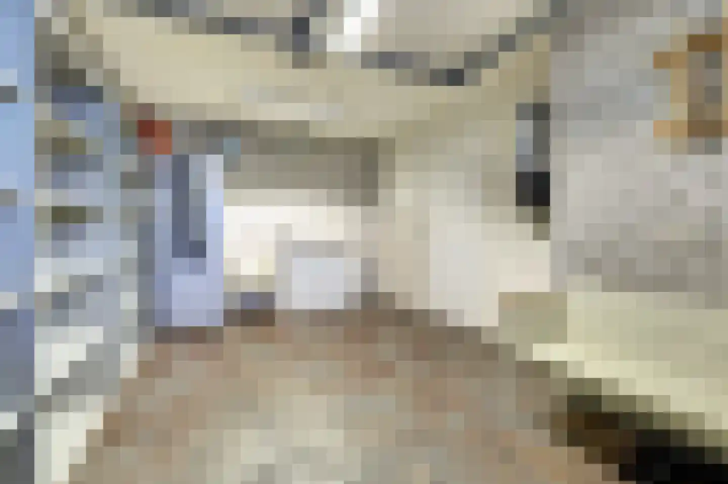 Roodborstje 1 Bladel thumbnail 32