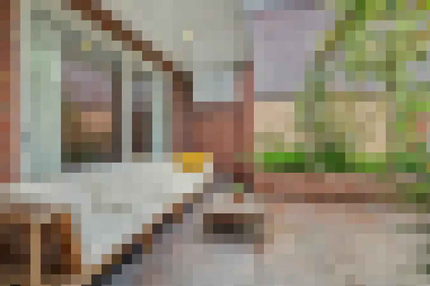 Roodborstje 1 Bladel thumbnail 35
