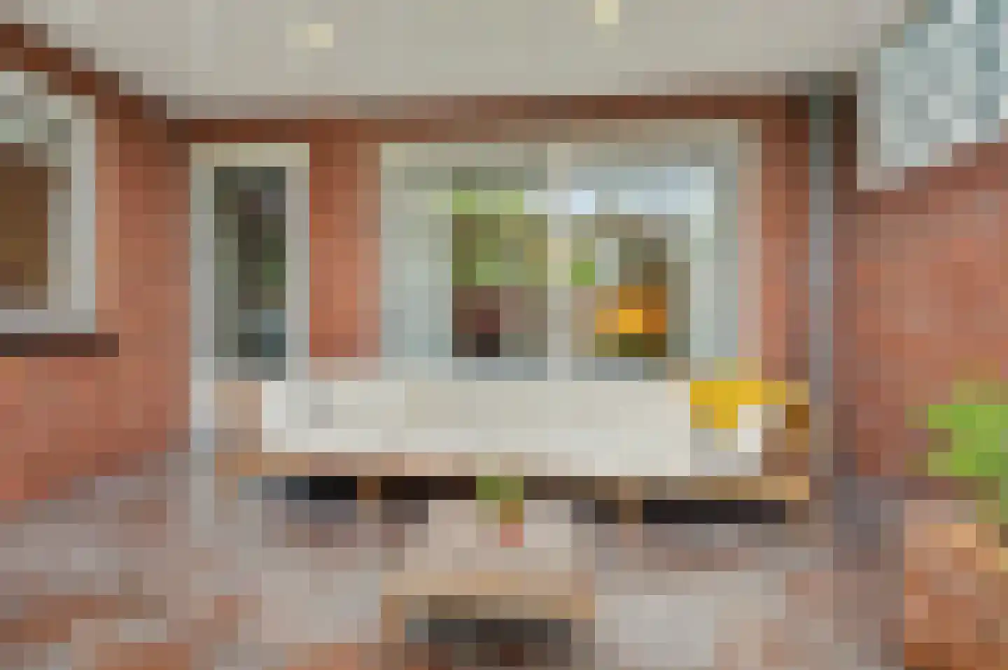 Roodborstje 1 Bladel thumbnail 36