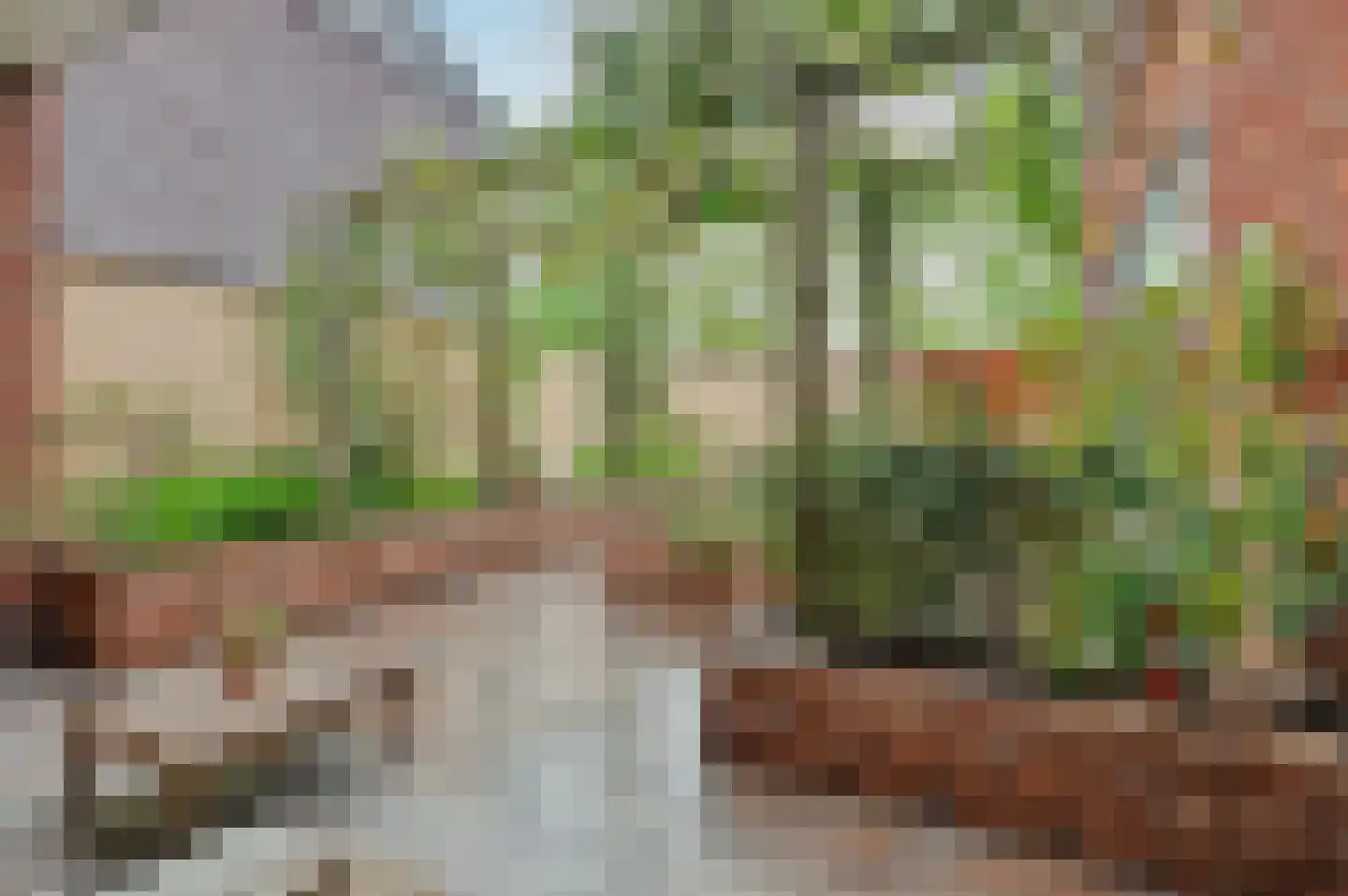 Roodborstje 1 Bladel thumbnail 37
