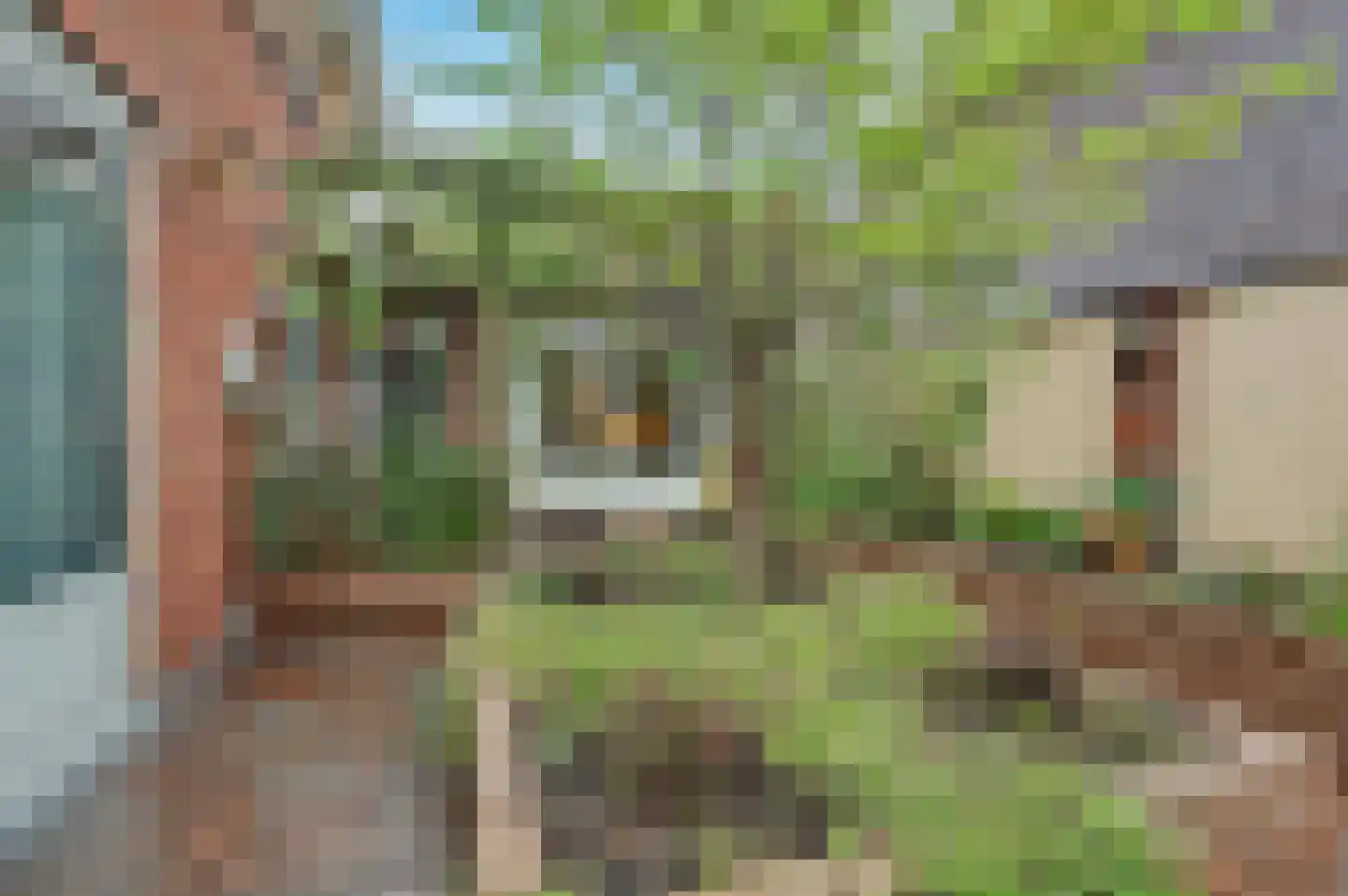 Roodborstje 1 Bladel thumbnail 39