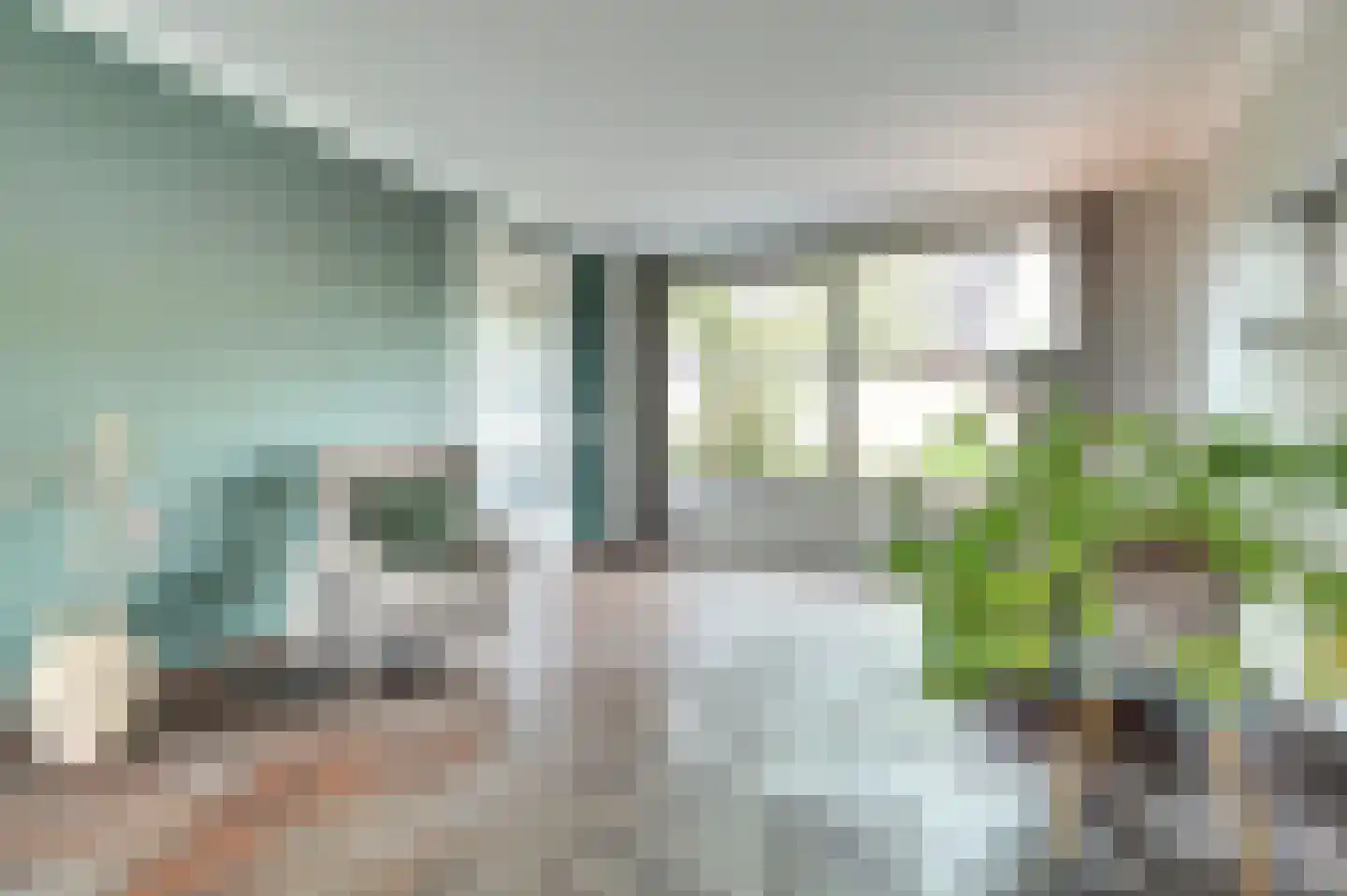 Roodborstje 1 Bladel thumbnail 4