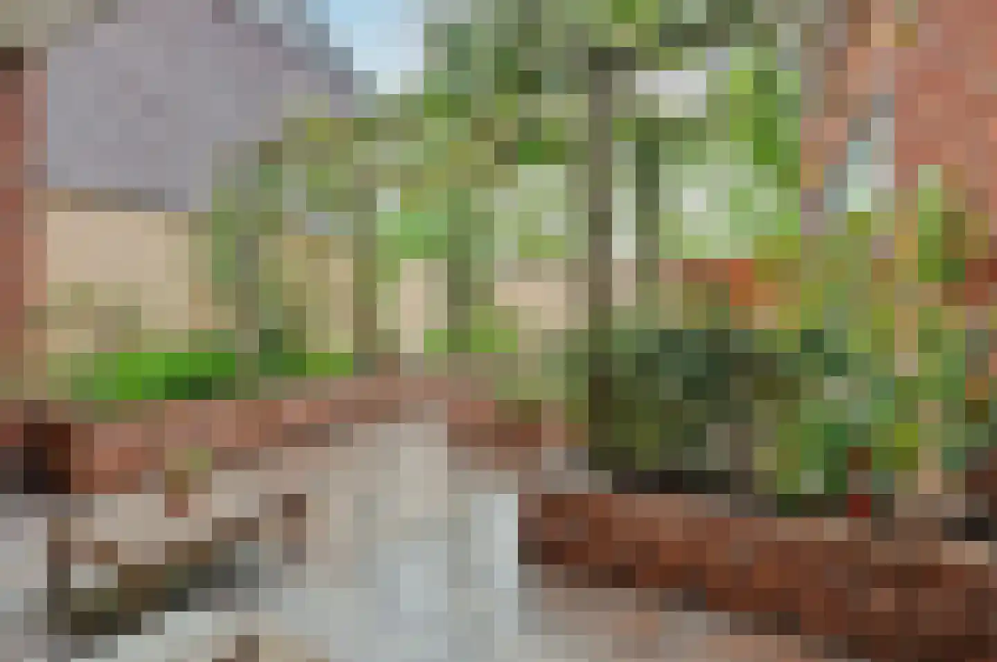 Roodborstje 1 Bladel thumbnail 41