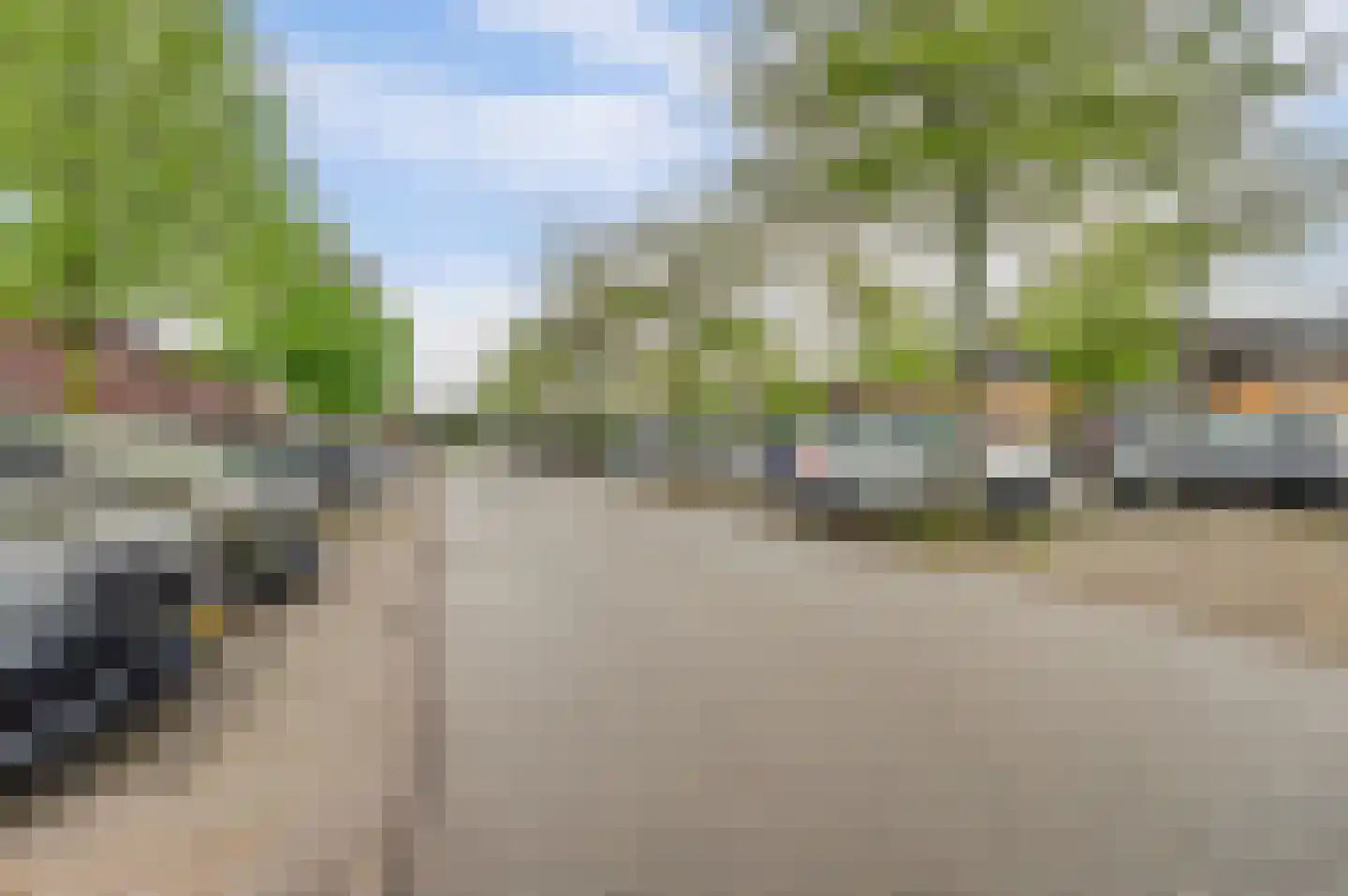 Roodborstje 1 Bladel thumbnail 41