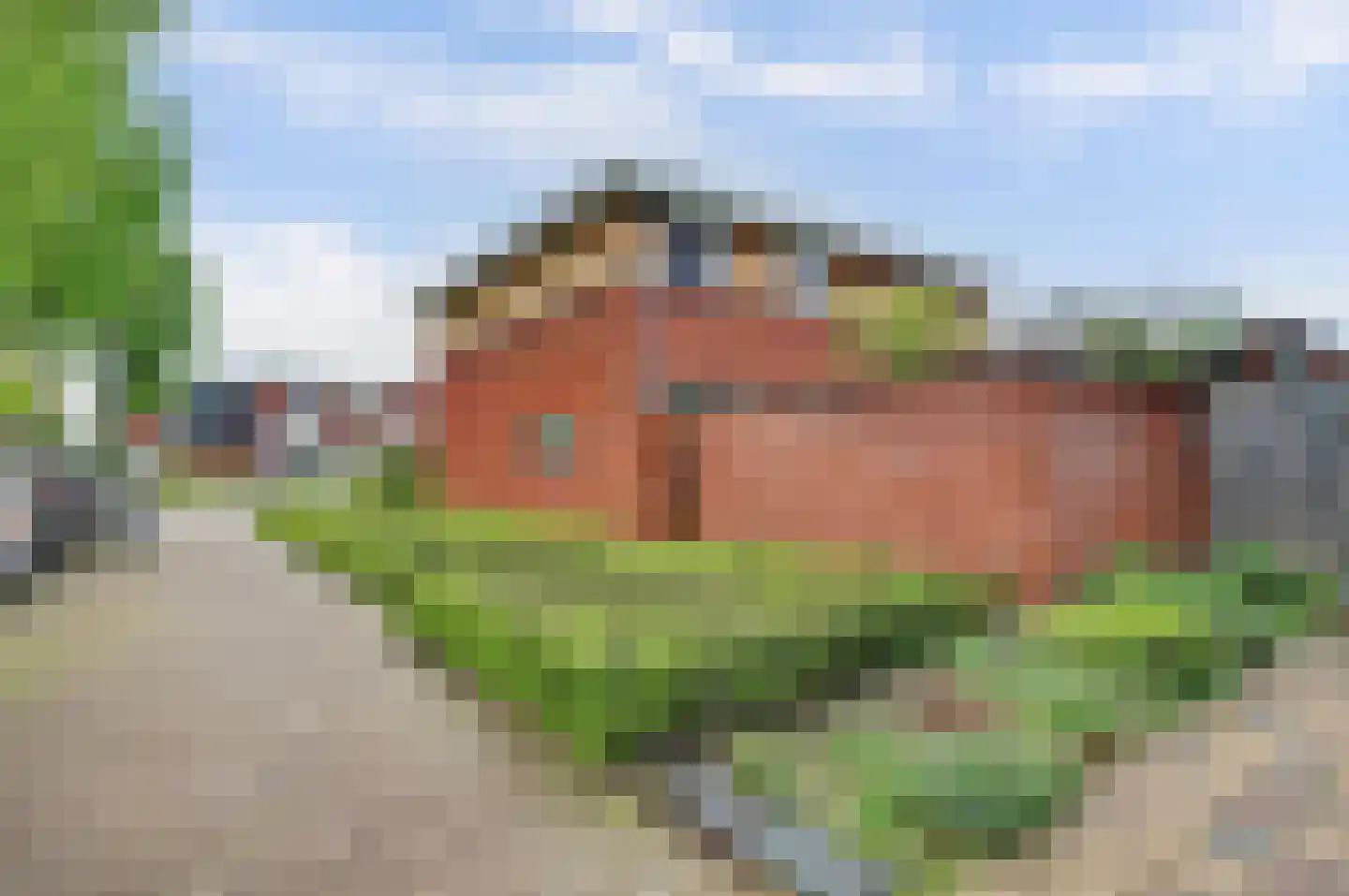 Roodborstje 1 Bladel thumbnail 42