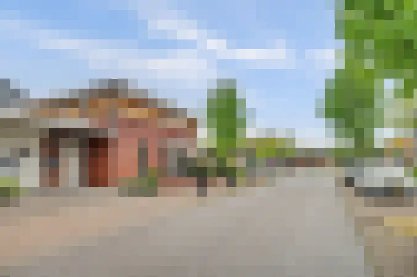 Roodborstje 1 Bladel thumbnail 44