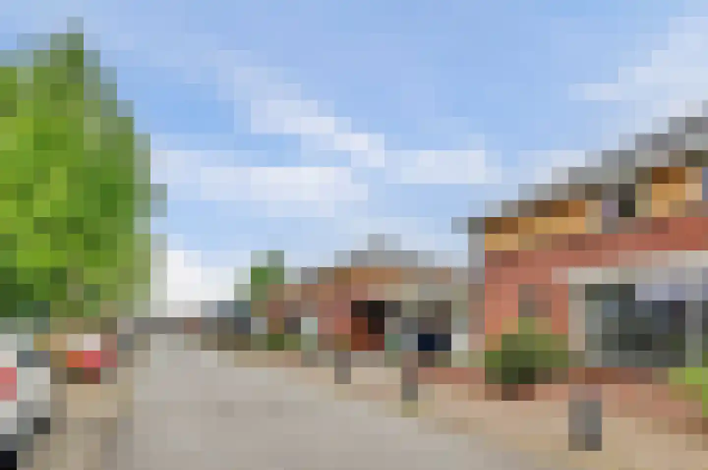 Roodborstje 1 Bladel thumbnail 45