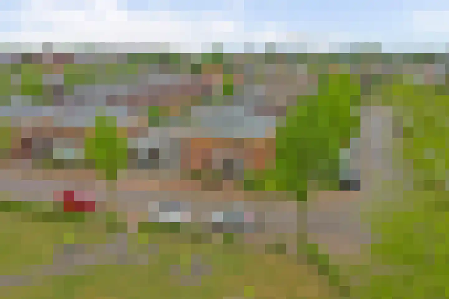 Roodborstje 1 Bladel thumbnail 48