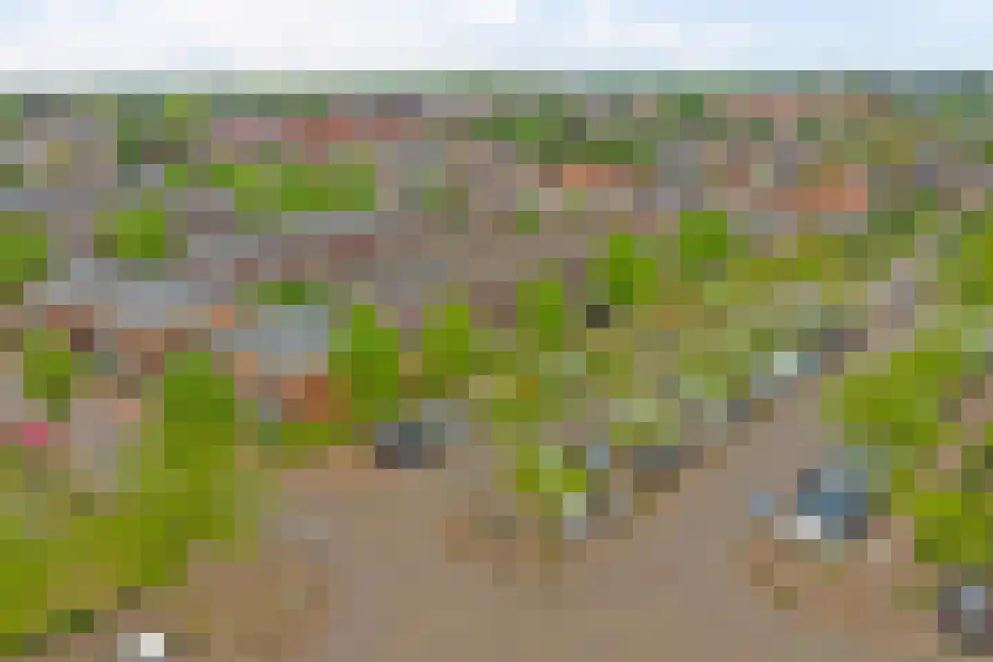 Roodborstje 1 Bladel thumbnail 49