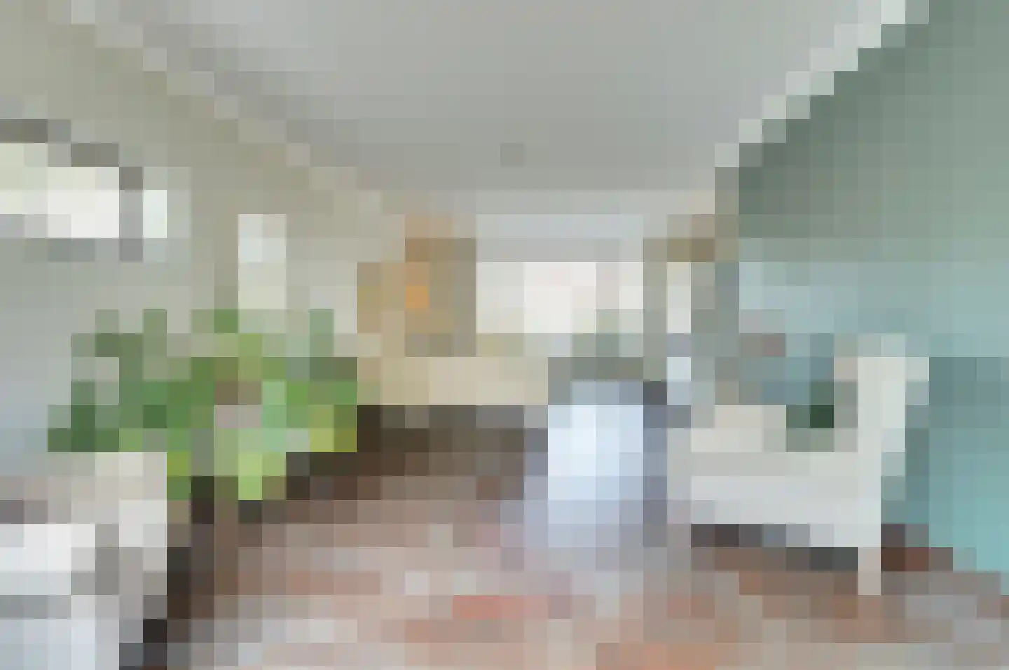 Roodborstje 1 Bladel thumbnail 5