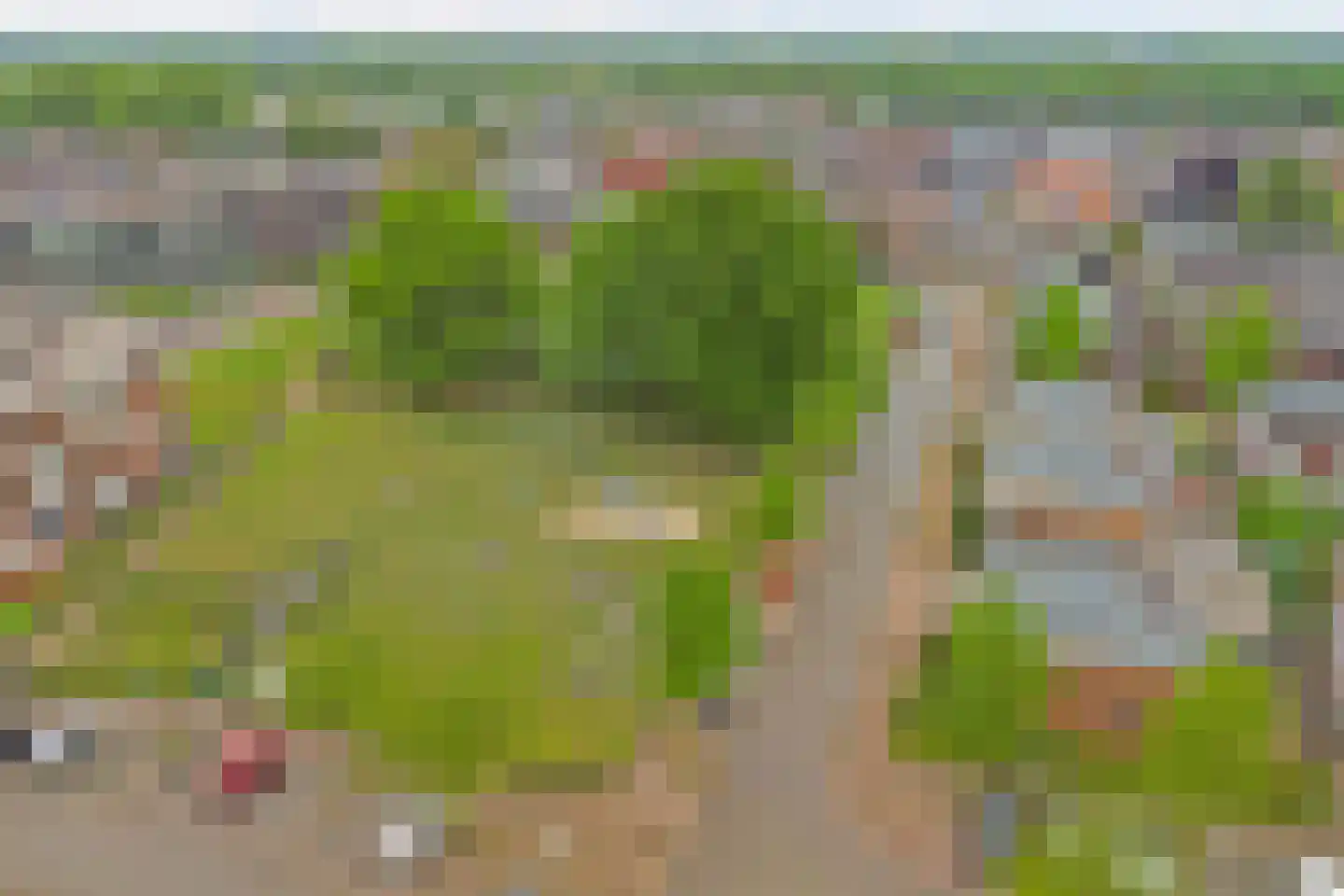 Roodborstje 1 Bladel thumbnail 50