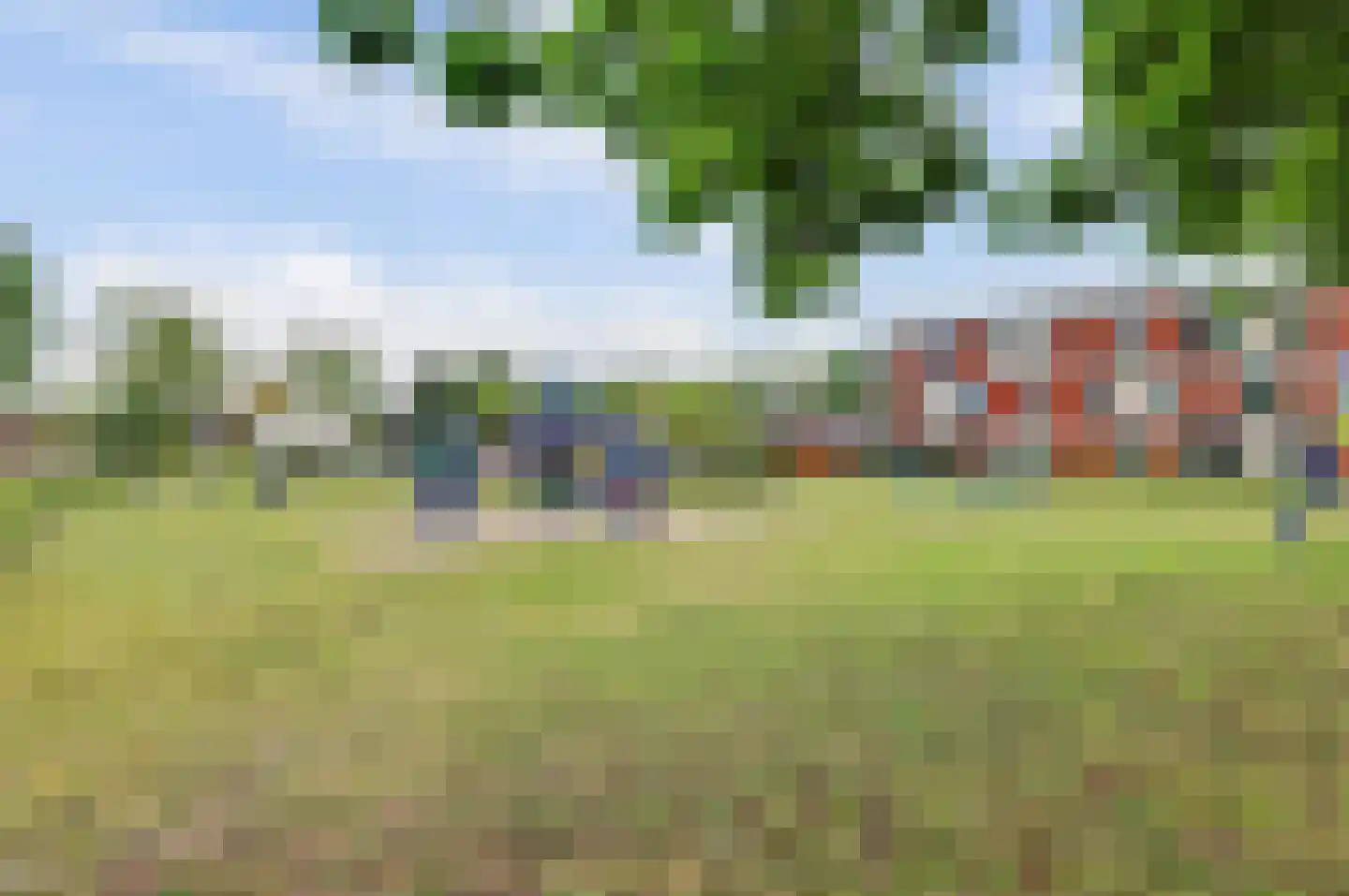 Roodborstje 1 Bladel thumbnail 51