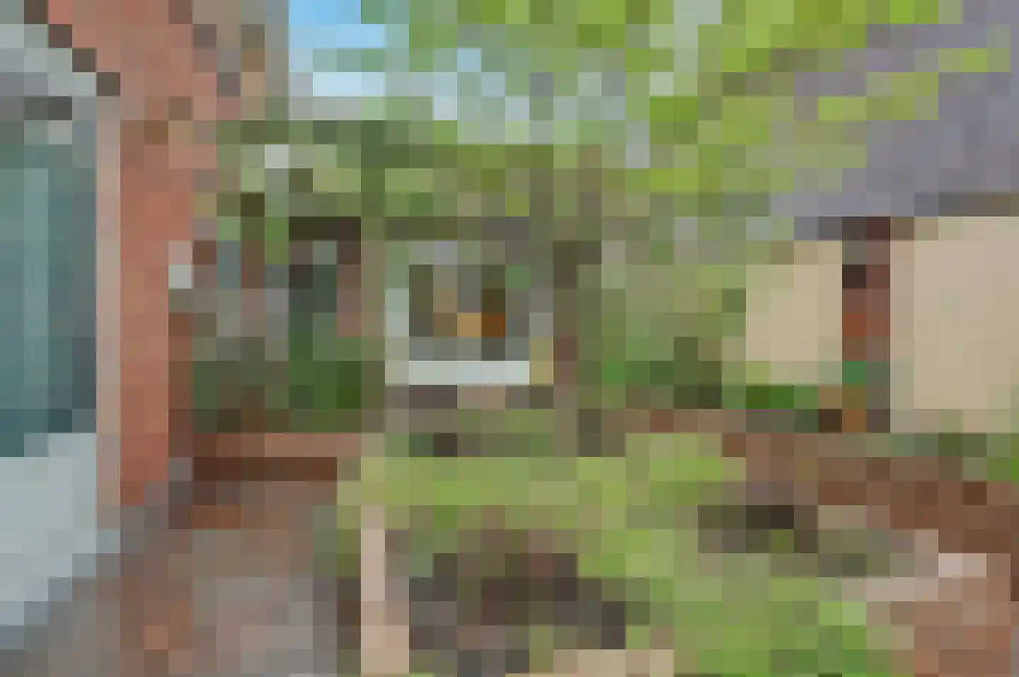 Roodborstje 1 Bladel thumbnail 6