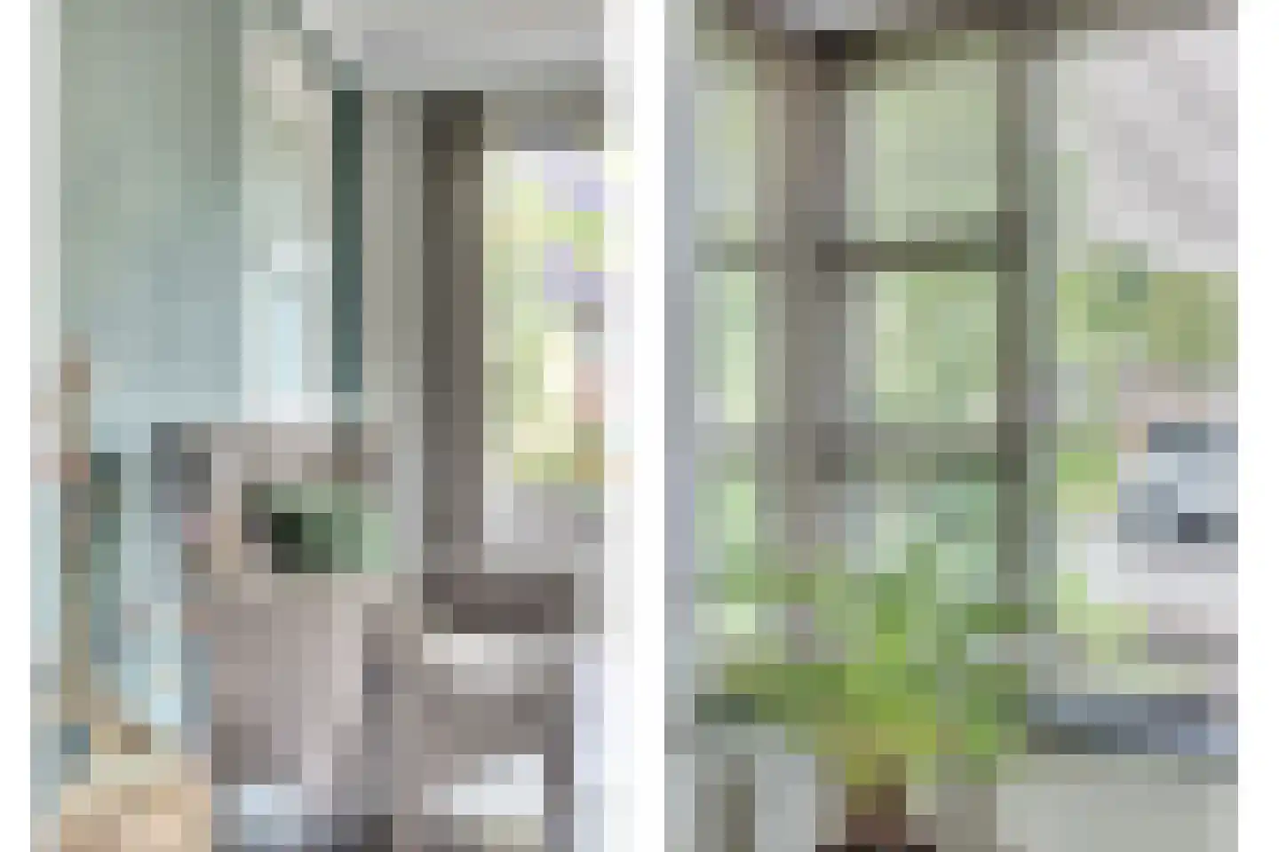 Roodborstje 1 Bladel thumbnail 6