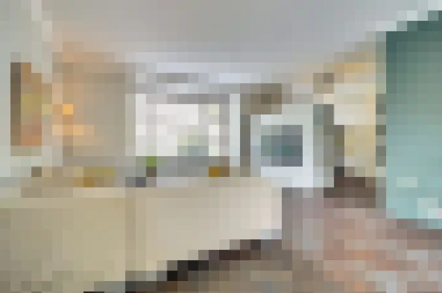 Roodborstje 1 Bladel thumbnail 7