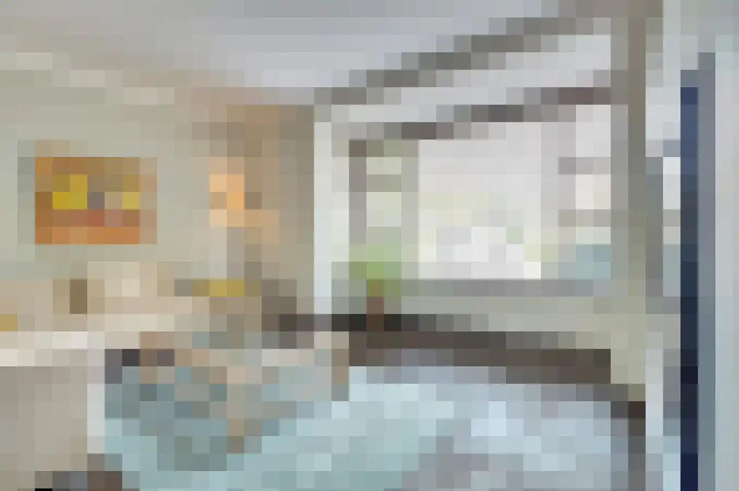 Roodborstje 1 Bladel thumbnail 8