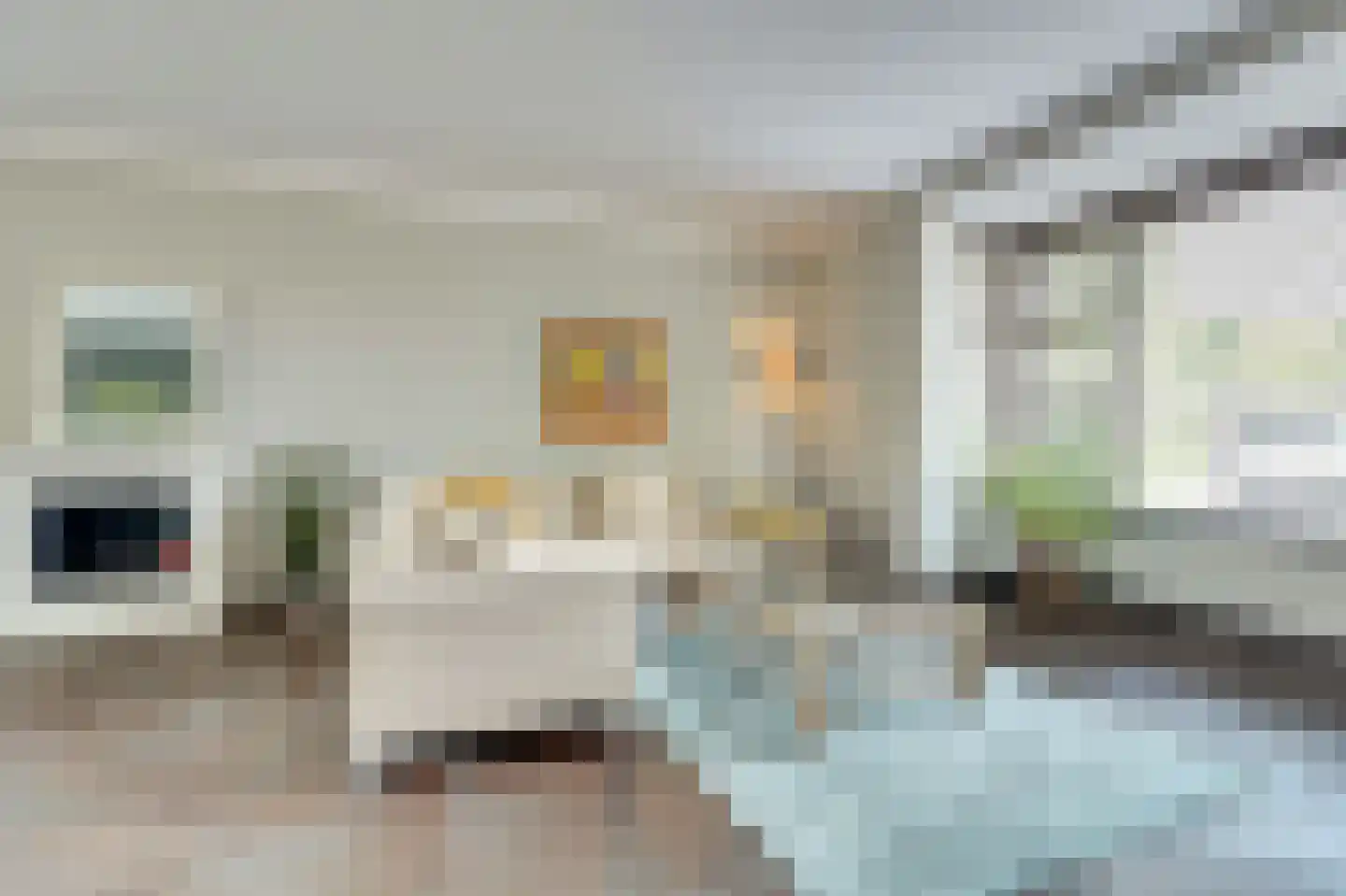 Roodborstje 1 Bladel thumbnail 9
