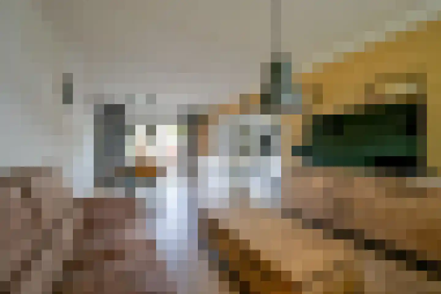 Roodborstjeslaan 25 Schagen thumbnail 10