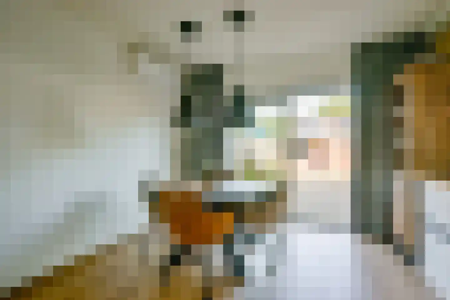 Roodborstjeslaan 25 Schagen thumbnail 11