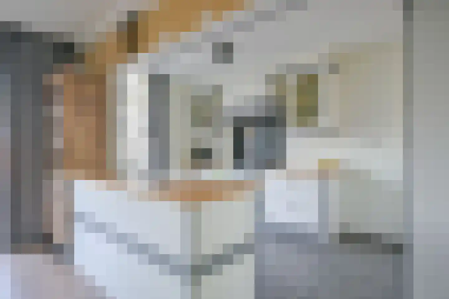 Roodborstjeslaan 25 Schagen thumbnail 12