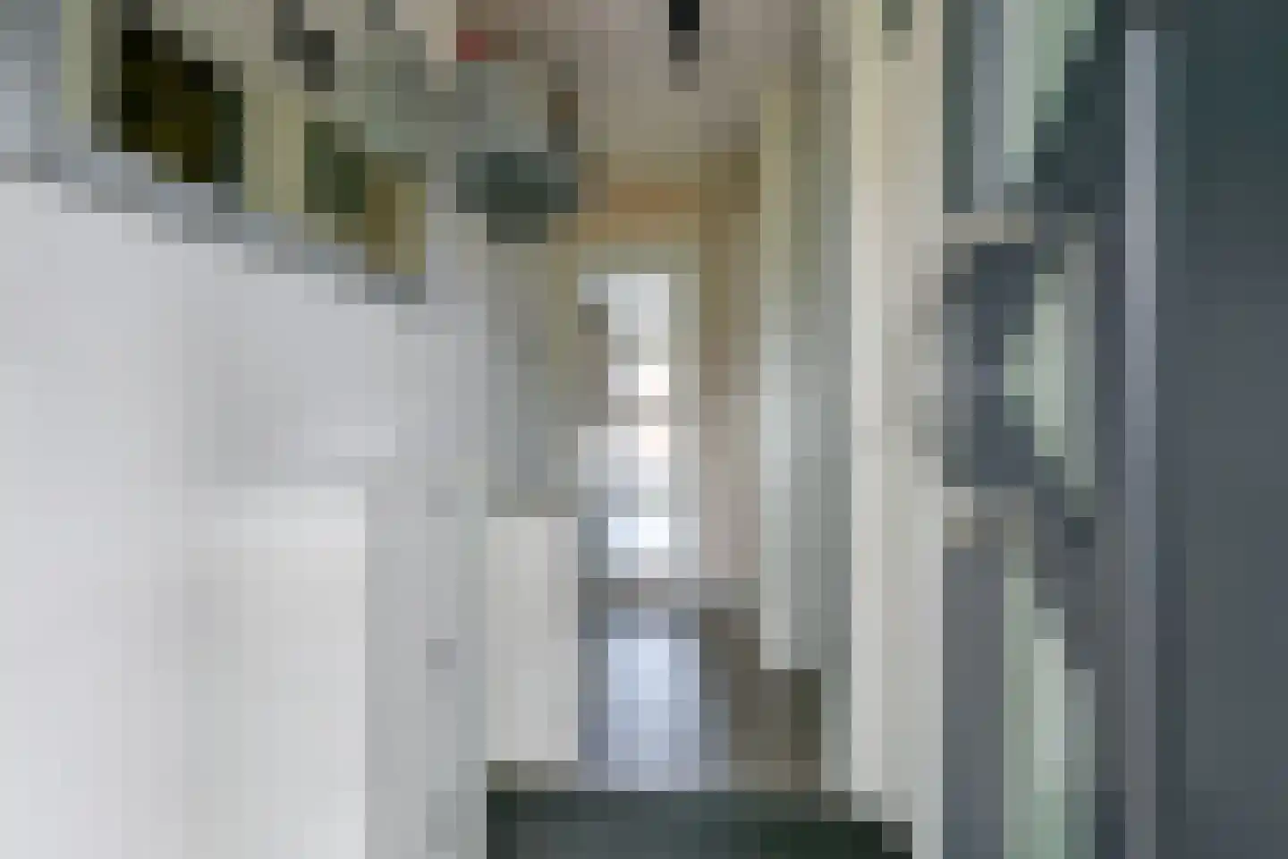 Roodborstjeslaan 25 Schagen thumbnail 7
