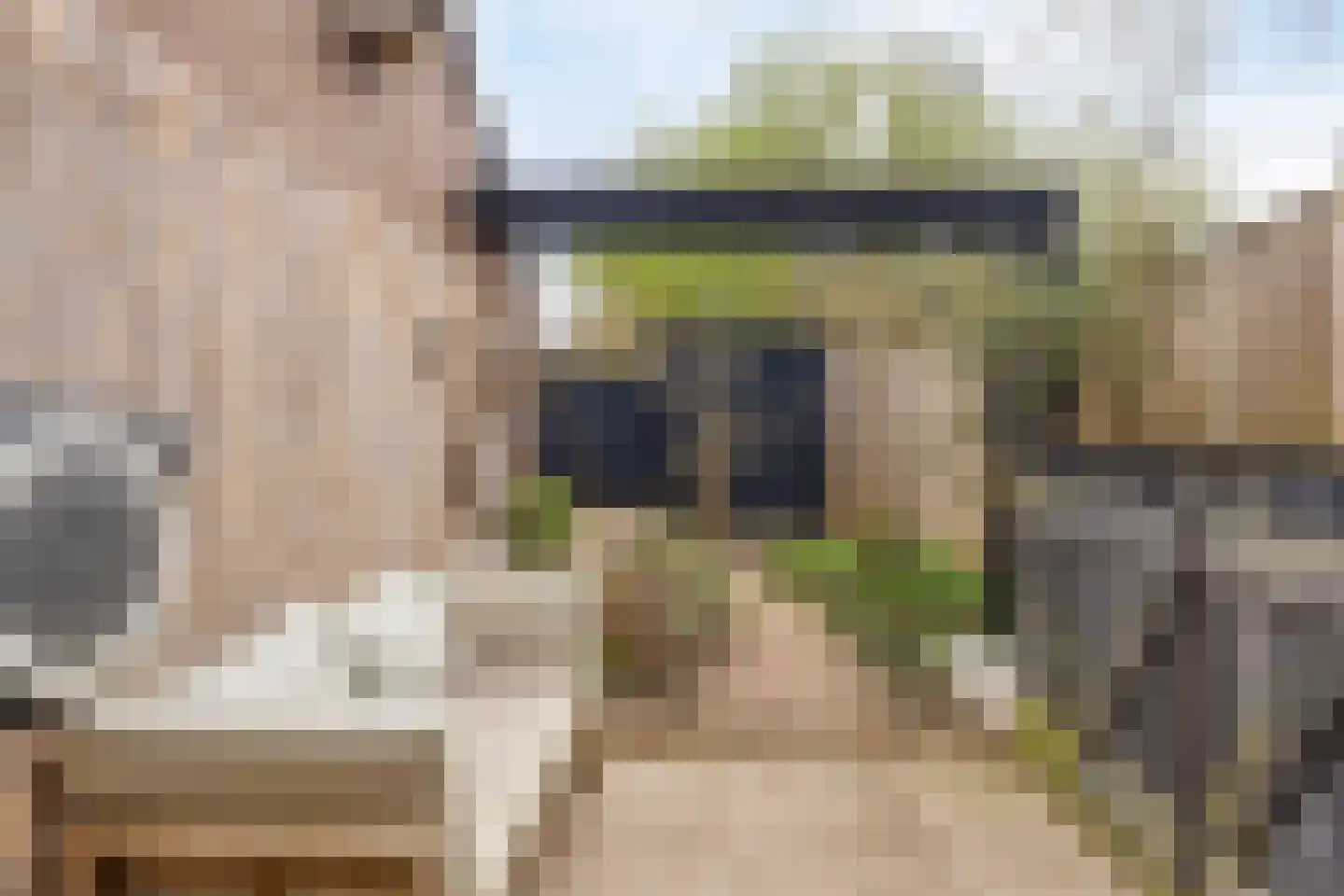 Roodborstjeslaan 4 Schagen thumbnail 38