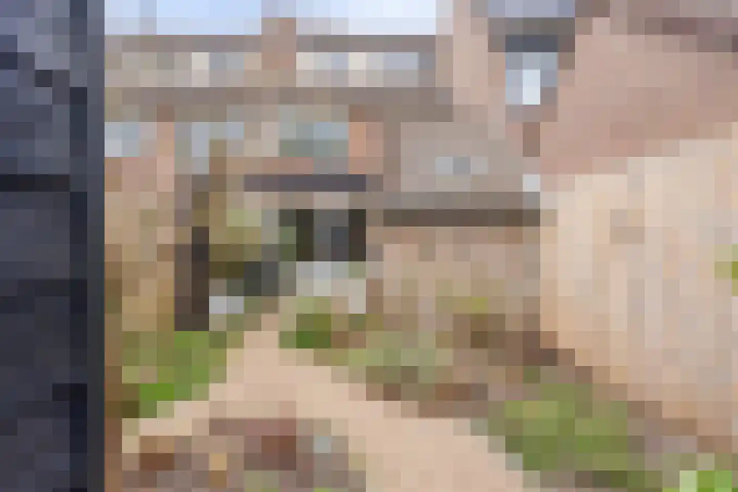 Roodborstjeslaan 4 Schagen thumbnail 4
