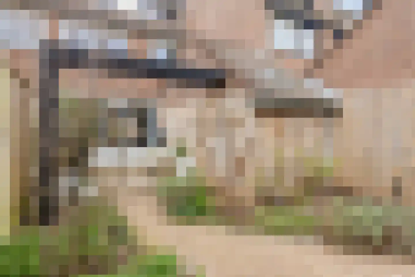 Roodborstjeslaan 4 Schagen thumbnail 40
