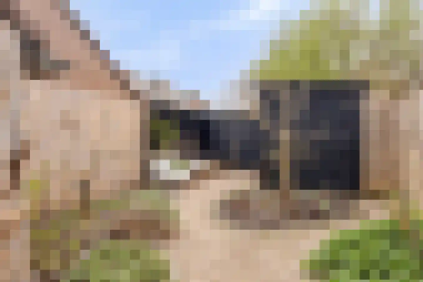 Roodborstjeslaan 4 Schagen thumbnail 41