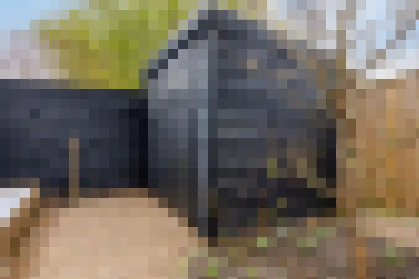 Roodborstjeslaan 4 Schagen thumbnail 42