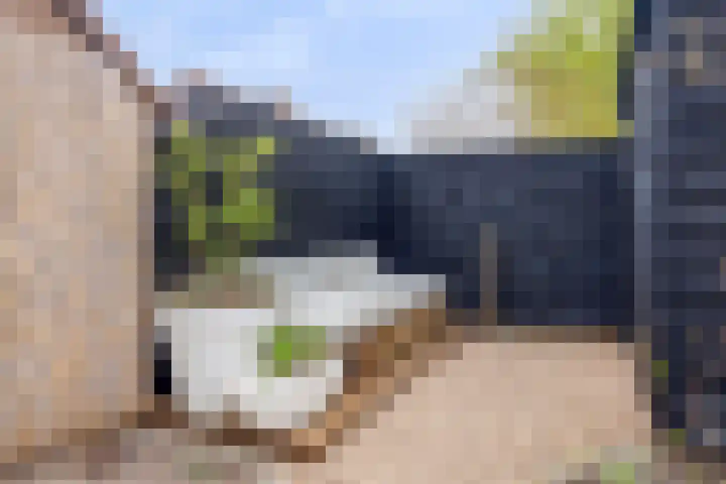 Roodborstjeslaan 4 Schagen thumbnail 44