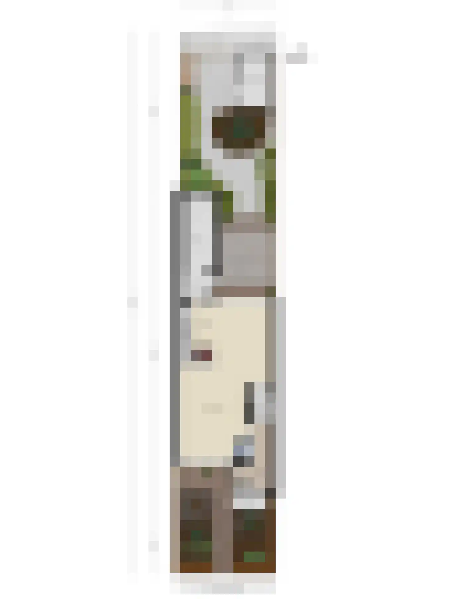 Roodborstjeslaan 4 Schagen thumbnail 47