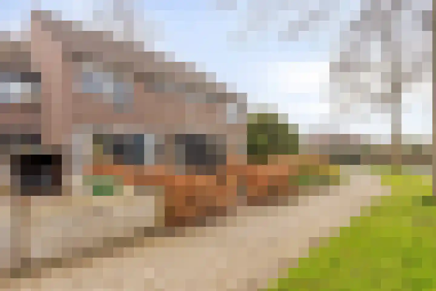 Roodborstjeslaan 4 Schagen thumbnail 5
