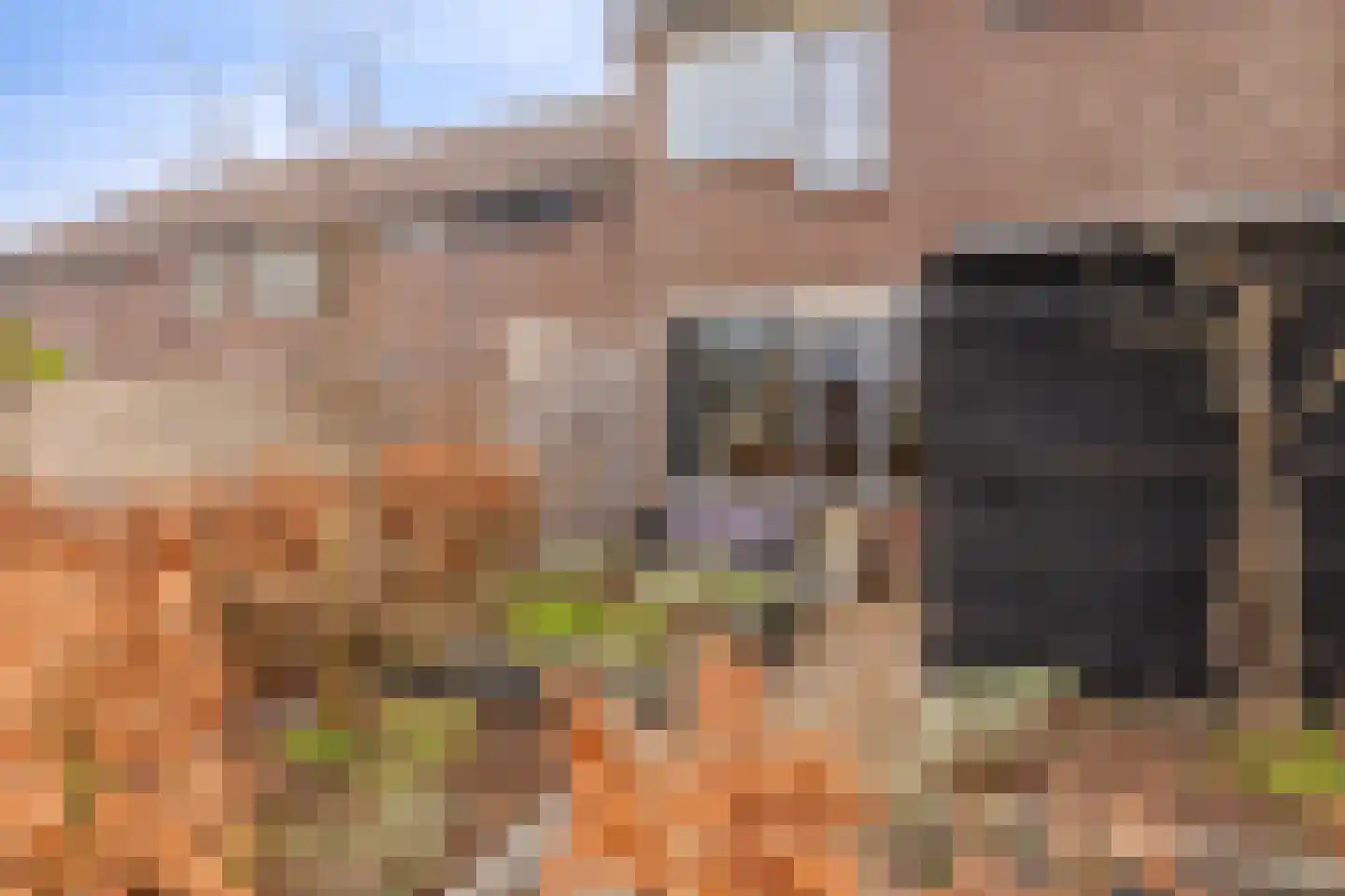 Roodborstjeslaan 4 Schagen thumbnail 7